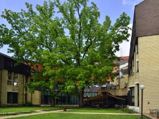 Lječilišni hotel Termal***